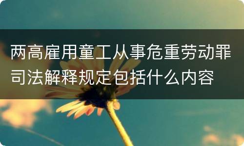 两高雇用童工从事危重劳动罪司法解释规定包括什么内容