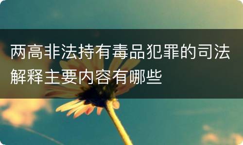 两高非法持有毒品犯罪的司法解释主要内容有哪些