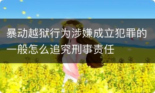 暴动越狱行为涉嫌成立犯罪的一般怎么追究刑事责任
