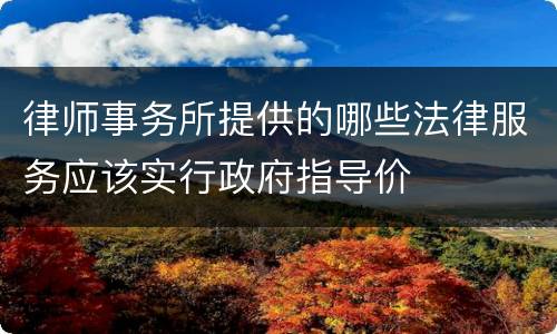 律师事务所提供的哪些法律服务应该实行政府指导价