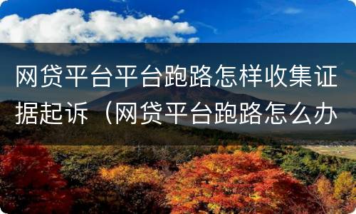 网贷平台平台跑路怎样收集证据起诉（网贷平台跑路怎么办）
