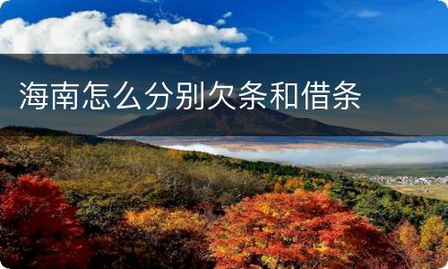 海南怎么分别欠条和借条