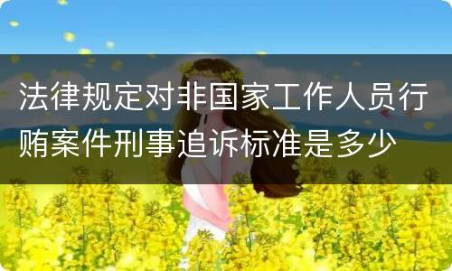 法律规定对非国家工作人员行贿案件刑事追诉标准是多少