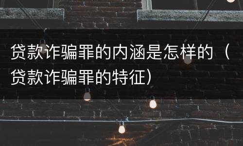 贷款诈骗罪的内涵是怎样的（贷款诈骗罪的特征）