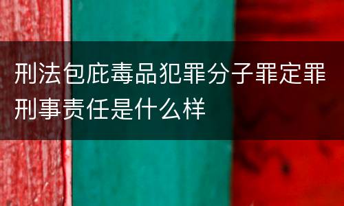 刑法包庇毒品犯罪分子罪定罪刑事责任是什么样