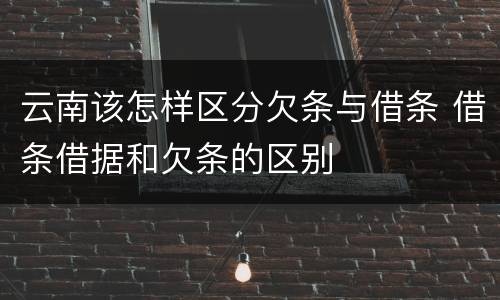 云南该怎样区分欠条与借条 借条借据和欠条的区别