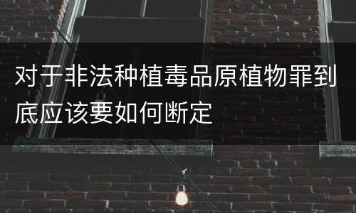 对于非法种植毒品原植物罪到底应该要如何断定