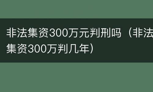 非法集资300万元判刑吗（非法集资300万判几年）