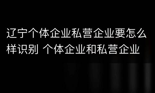 辽宁个体企业私营企业要怎么样识别 个体企业和私营企业