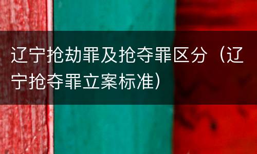 辽宁抢劫罪及抢夺罪区分（辽宁抢夺罪立案标准）