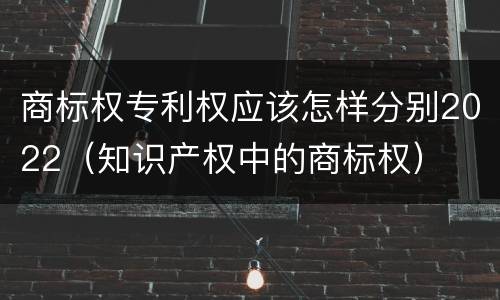 商标权专利权应该怎样分别2022（知识产权中的商标权）