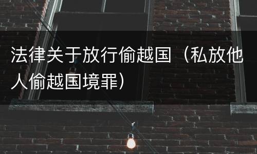 法律关于放行偷越国（私放他人偷越国境罪）