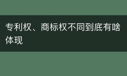 专利权、商标权不同到底有啥体现