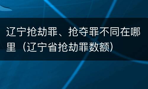 辽宁抢劫罪、抢夺罪不同在哪里（辽宁省抢劫罪数额）