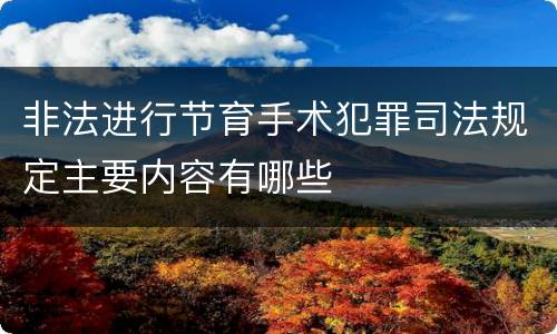 非法进行节育手术犯罪司法规定主要内容有哪些