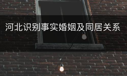 河北识别事实婚姻及同居关系