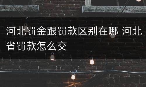 河北罚金跟罚款区别在哪 河北省罚款怎么交