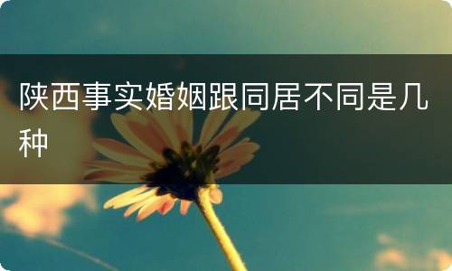 陕西事实婚姻跟同居不同是几种