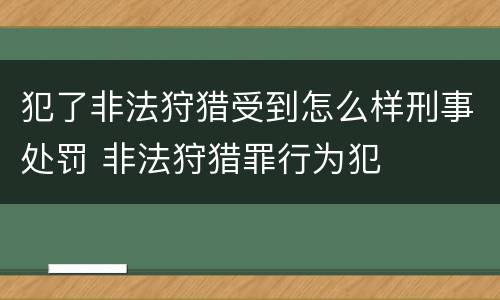 犯了非法狩猎受到怎么样刑事处罚 非法狩猎罪行为犯