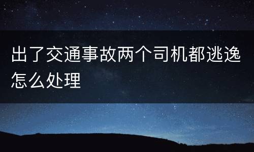出了交通事故两个司机都逃逸怎么处理