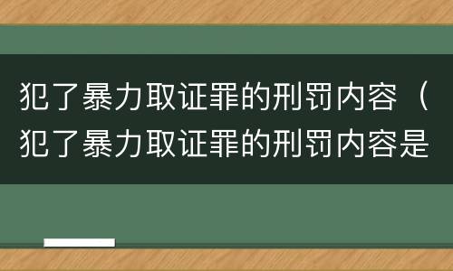 犯了暴力取证罪的刑罚内容（犯了暴力取证罪的刑罚内容是什么）