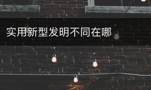 实用新型发明不同在哪