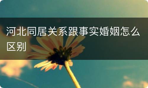 河北同居关系跟事实婚姻怎么区别