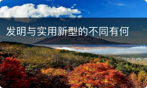 发明与实用新型的不同有何
