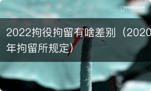 2022拘役拘留有啥差别（2020年拘留所规定）