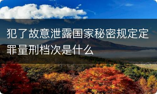 犯了故意泄露国家秘密规定定罪量刑档次是什么