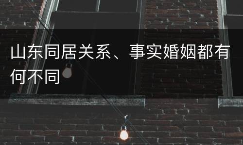 山东同居关系、事实婚姻都有何不同