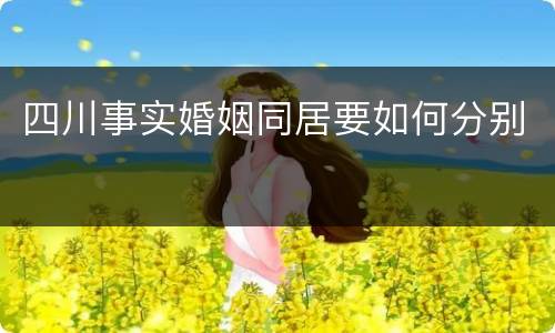 四川事实婚姻同居要如何分别