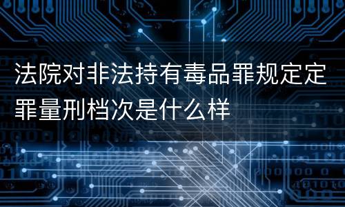 法院对非法持有毒品罪规定定罪量刑档次是什么样