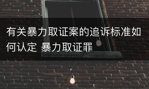 有关暴力取证案的追诉标准如何认定 暴力取证罪