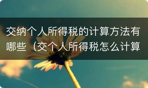 交纳个人所得税的计算方法有哪些（交个人所得税怎么计算）