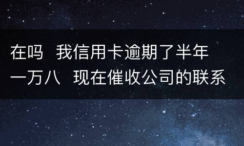 在吗  我信用卡逾期了半年  一万八  现在催收公司的联系到我  五天必须还钱
