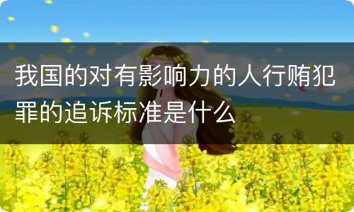 我国的对有影响力的人行贿犯罪的追诉标准是什么