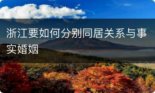 浙江要如何分别同居关系与事实婚姻