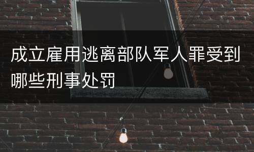 成立雇用逃离部队军人罪受到哪些刑事处罚