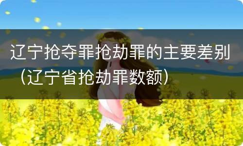 辽宁抢夺罪抢劫罪的主要差别（辽宁省抢劫罪数额）