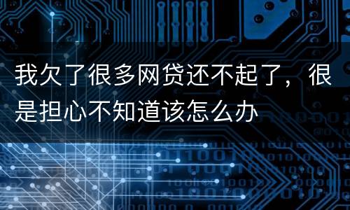 我欠了很多网贷还不起了，很是担心不知道该怎么办