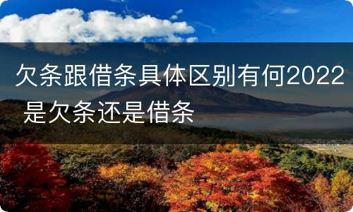 欠条跟借条具体区别有何2022 是欠条还是借条