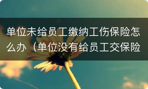 单位未给员工缴纳工伤保险怎么办（单位没有给员工交保险,工伤怎么办）