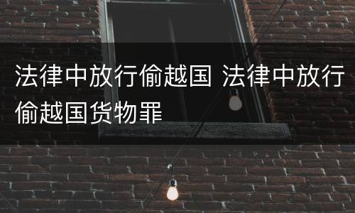 法律中放行偷越国 法律中放行偷越国货物罪