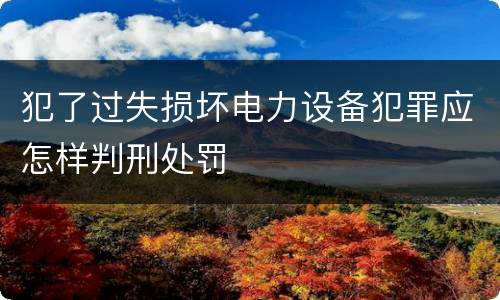 犯了过失损坏电力设备犯罪应怎样判刑处罚