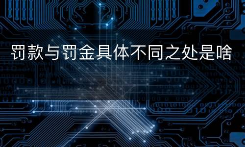 罚款与罚金具体不同之处是啥