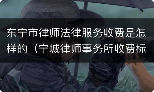 东宁市律师法律服务收费是怎样的（宁城律师事务所收费标准）