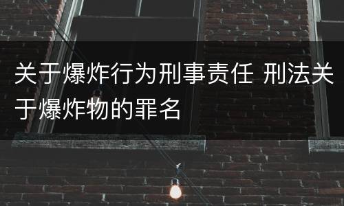 关于爆炸行为刑事责任 刑法关于爆炸物的罪名