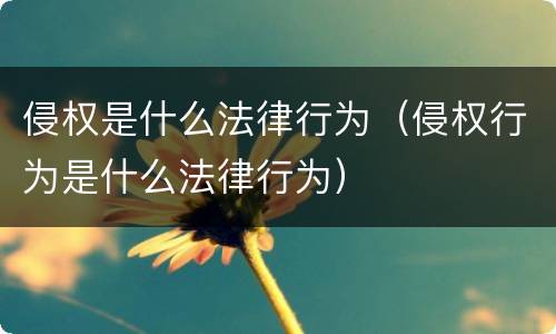 侵权是什么法律行为（侵权行为是什么法律行为）
