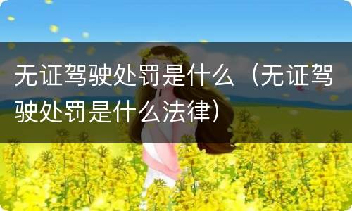 无证驾驶处罚是什么（无证驾驶处罚是什么法律）